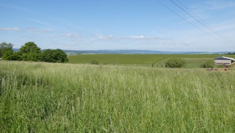 Harbach-Runde, Variante B | © Wanderfreunde Weisel, Romantischer Rhein Tourismus GmbH