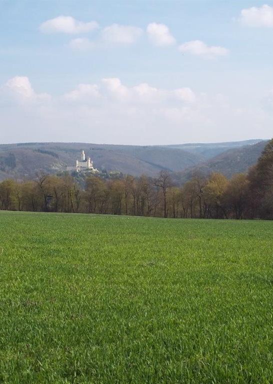 Blick aus Rückfront Wohnung | © Familie Heil