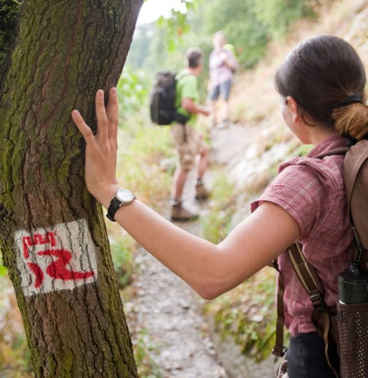 Auf dem Oelsbergsteig bei Oberwesel | © Dominik Ketz