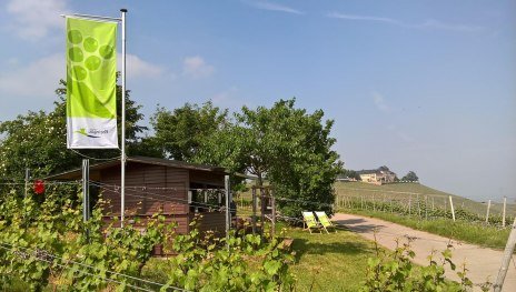 Weinprobierstand mit Blick aufs Schloss | © Weingut Abteihof St. Nicolaus