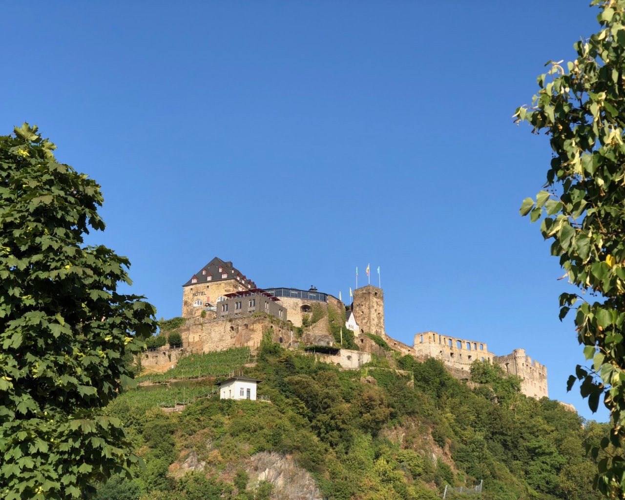 Burg Rheinfels | © rheingucken.de