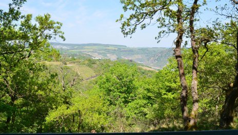 Hinnerbeil | © Tourist-Information Oberwesel