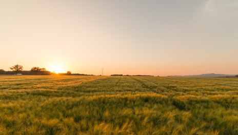 © Luca Lamonte-Austin, Romantischer Rhein Tourismus GmbH