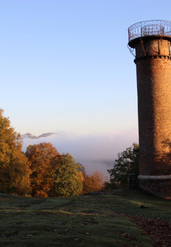 Aussichtsturm | © Tessa von Lüdinghausen