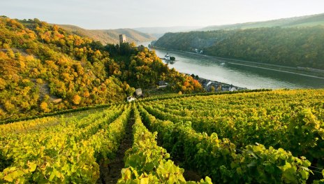 Blick auf Kaub | © Dominik Ketz, Romantischer Rhein Tourismus GmbH