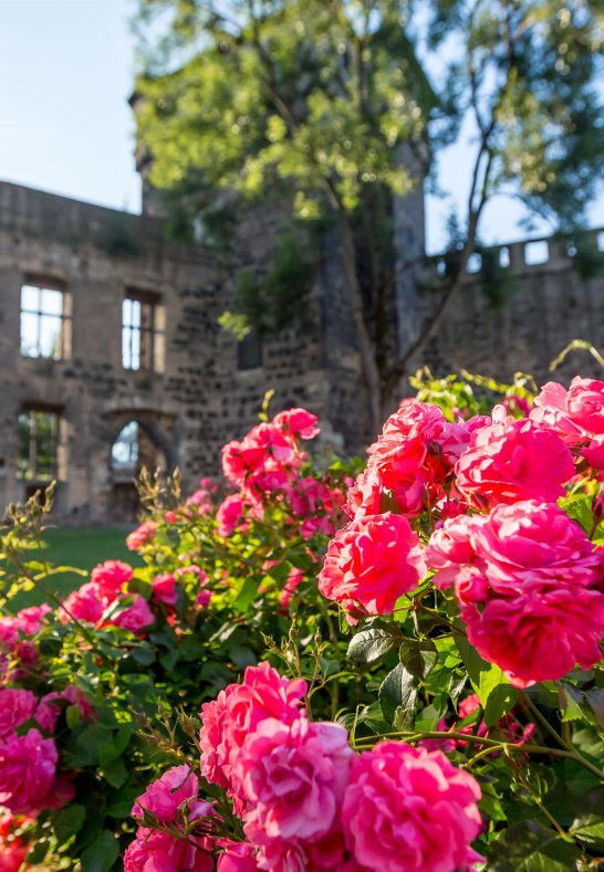 Stadtburg | © 90 Grad Photography/Hilger & Schneider GbR