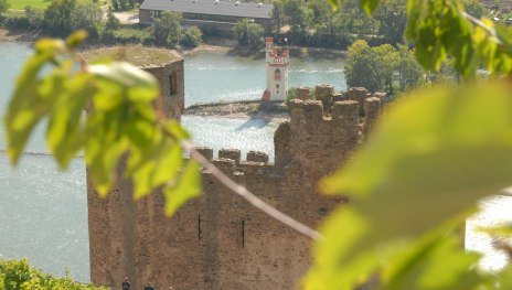 Burgruine Ehrenfels | © Demarrage, Rüdesheim Tourist AG