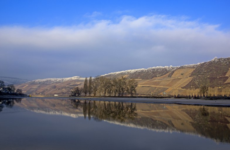 Blick in den Bopparder Hamm | © Friedrich Gier