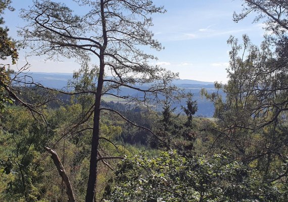 Weitblick am Kleinmödersnack | © T. Biersch