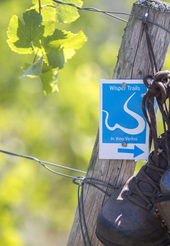 Wanderschuhe,Wisper Trail Lorch_ In vino veritas, | © M. Igel, Hotel im Schulhaus