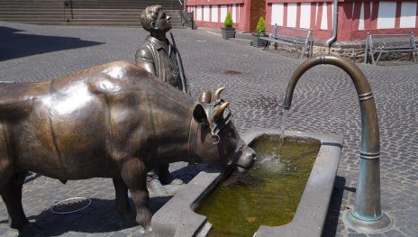 Ochsenbrunnen Marktplatz | © Touirst-Information Erlebnis Rheinbogen