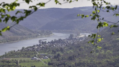 Touristinfo | © Loreley Touristik