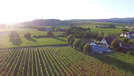 Weingut H. Krayer | © Weingut H. Krayer