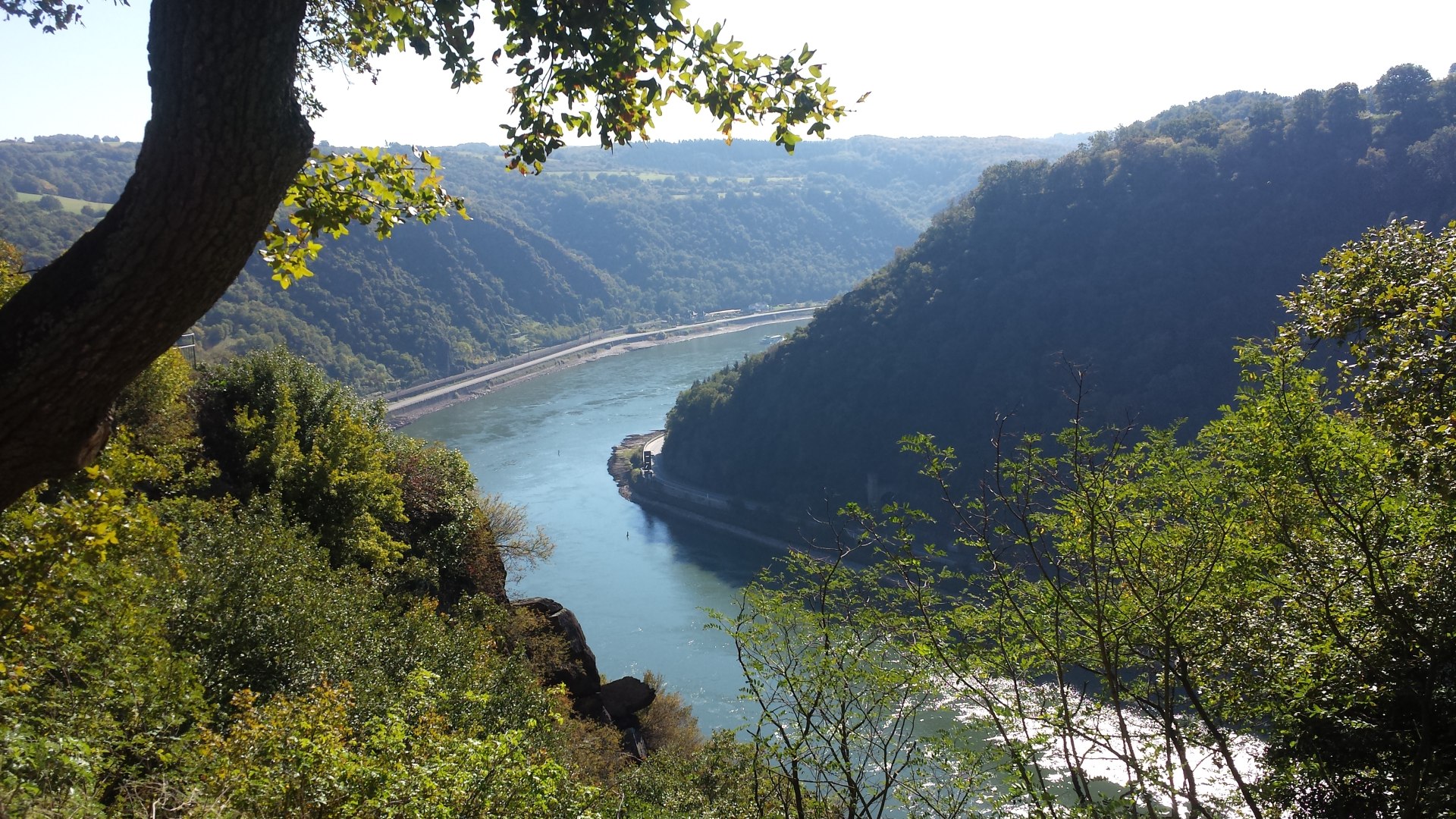 Loreley | © K. S.