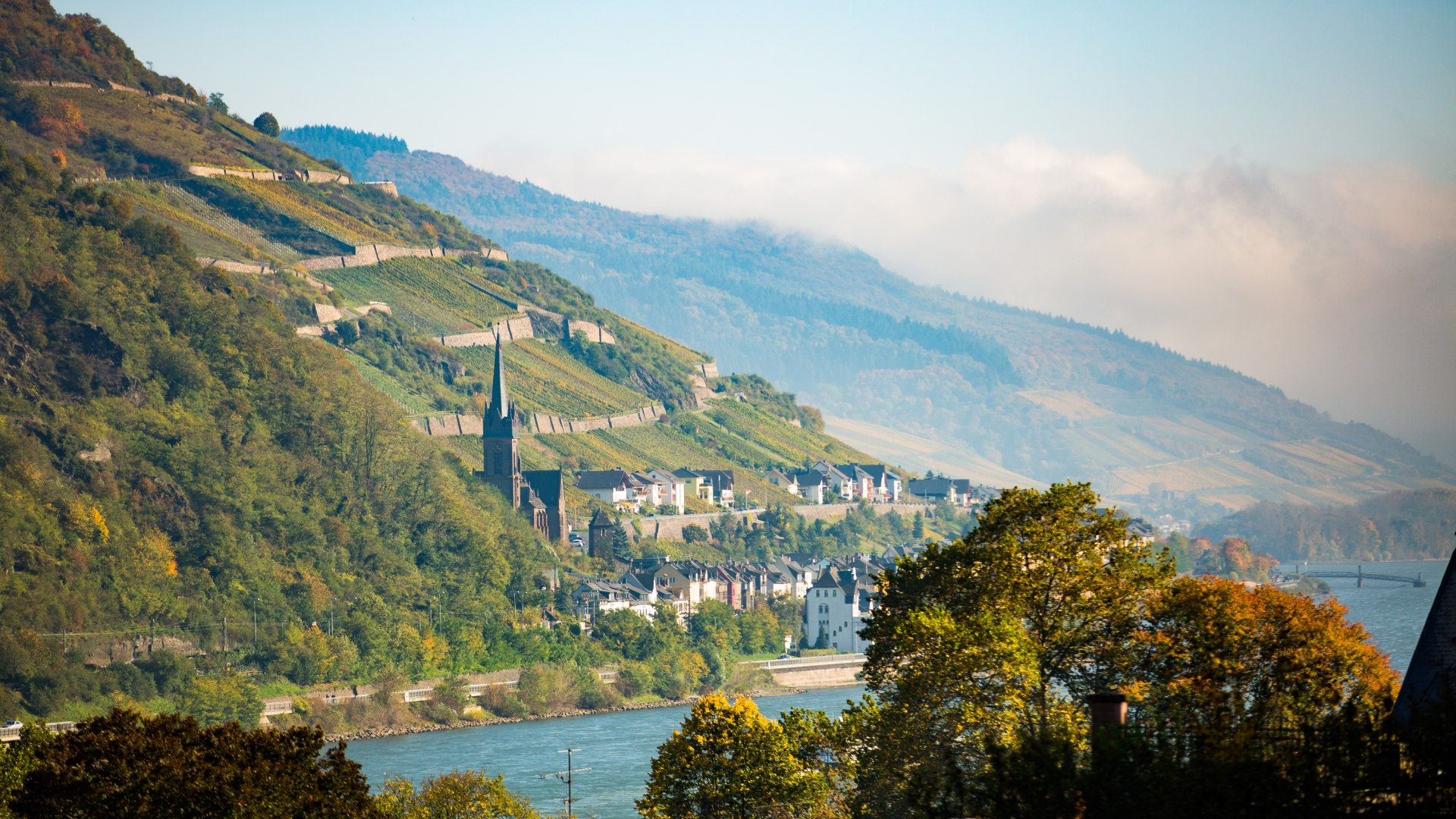 Blick auf Lorch | © Henry Tornow