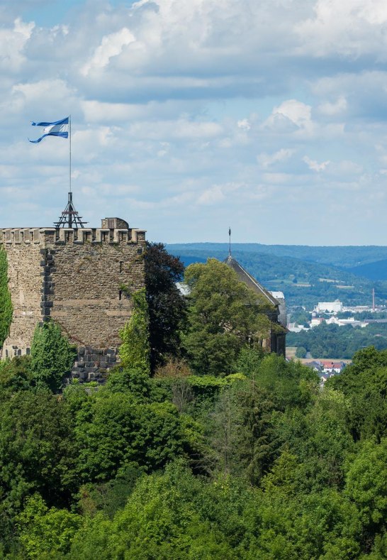 Blick auf Burg Rheineck | © Henry Tornow