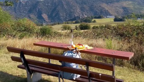 Picknickbank auf der Bitz mit Schönburgblick | © E. Bender