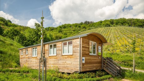 Verkaufswagen am Weingut | © Dominik Ketz