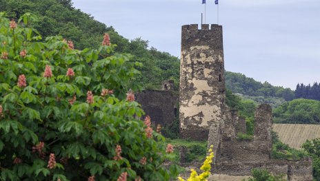 Fürstenberg im Frühjahr | © Friedrich Gier