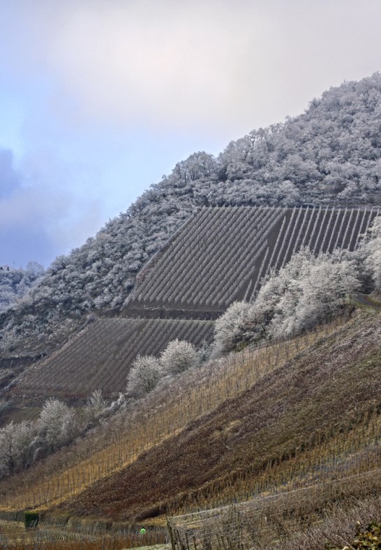 Weinberge bei Leutesdorf | © Friedrich Gier