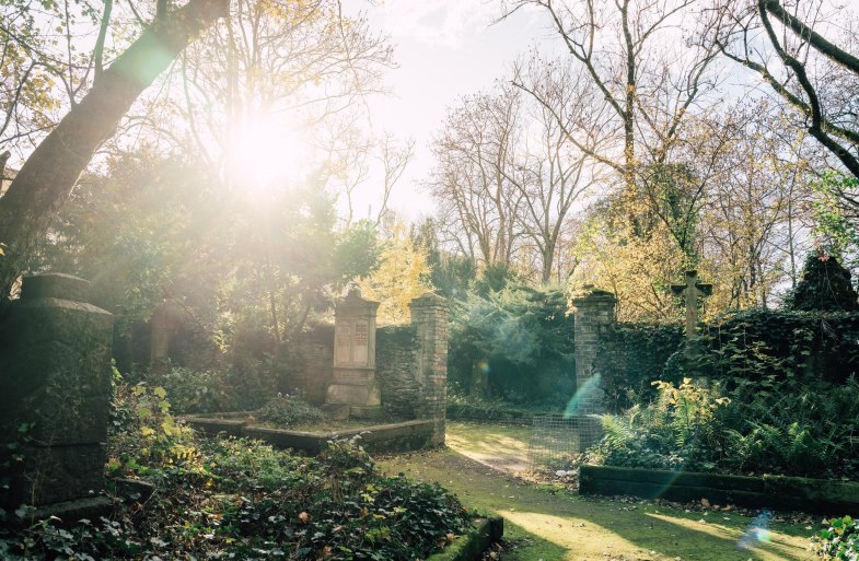 Alter Friedhof | © Zimpfer_Photography