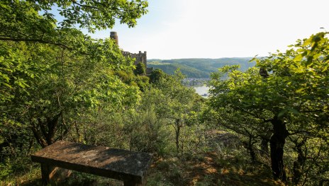 © Henry Tornow, Romantischer Rhein Tourismus GmbH