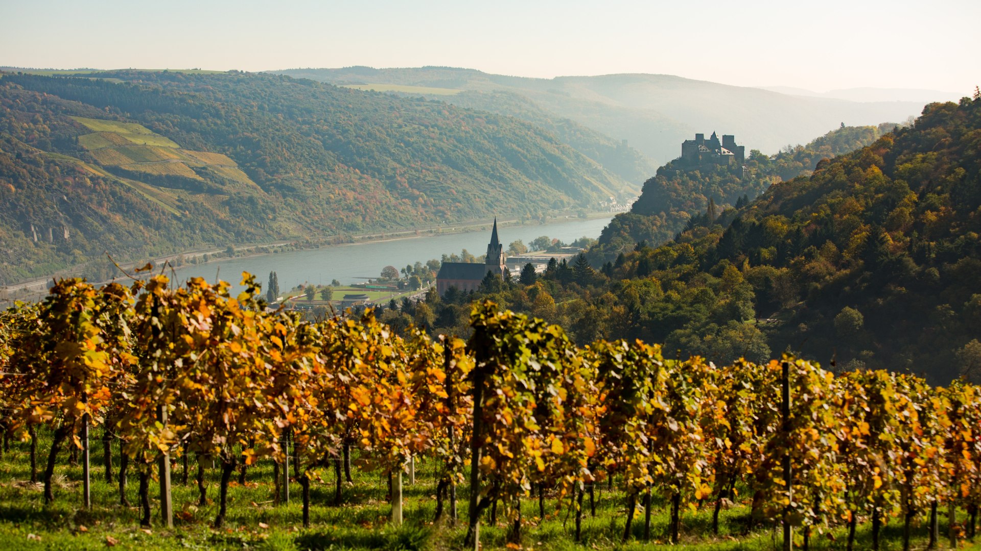 Die Schönburg über dem herbstlichen Mittelrheintal | © Henry Tornow