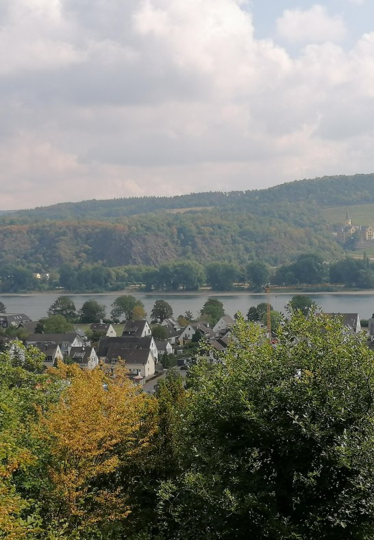 Aussicht vom Märchenwald | © Tourist-Information Bad Breisig