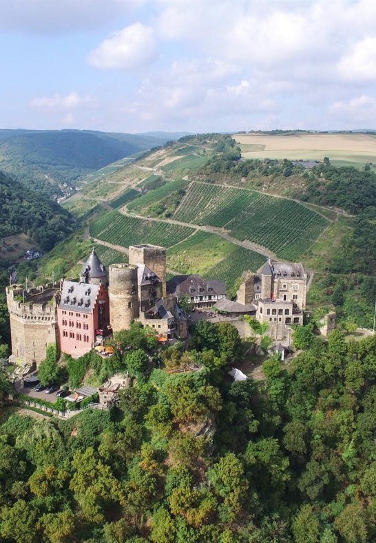 Weingut Lanius Knab Engehöller Bernstein VDP.Erste | © Lanius-Knab