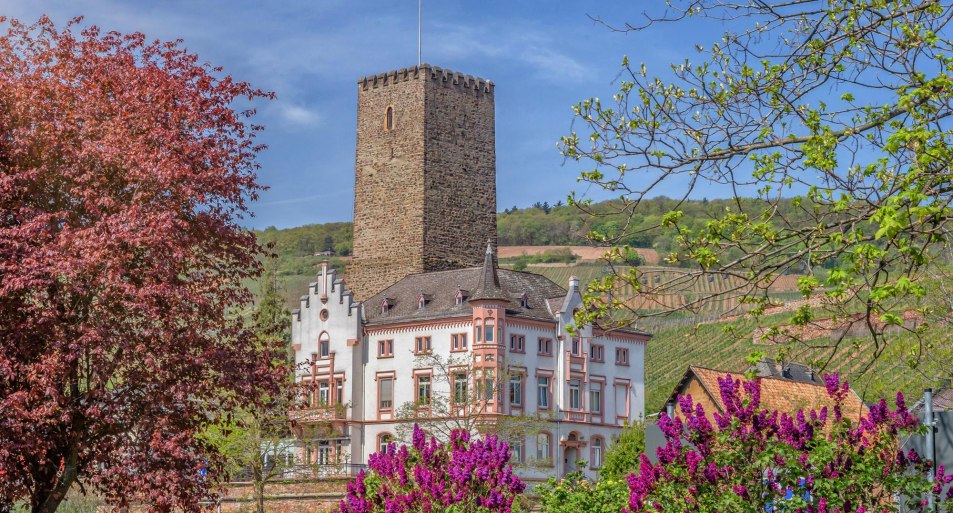 Boosenburg | © Rüdesheim Tourist AG - Marlis Steinmetz