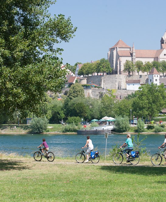 Rhine Cycle Route near Breisach | © European Cyclists’ Federation, Demarrage LTMA