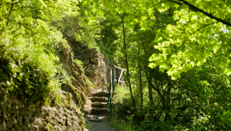 © Dominik Ketz, Rheinland-Pfalz Tourismus GmbH