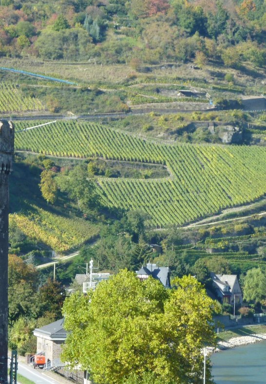 Weingut Lanius-Knab_Oberweseler Oelsberg VDP.Große | © Lanius-Knab