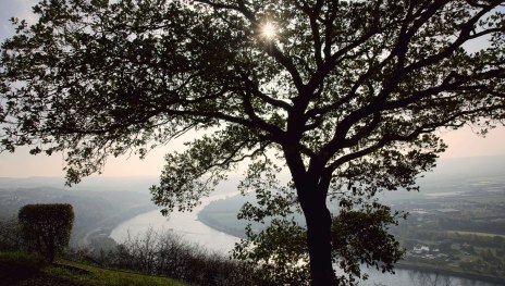 © Friedrich Gier, Romantischer Rhein Tourismus GmbH