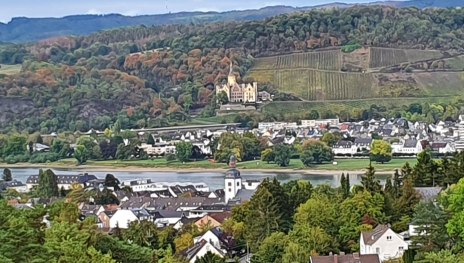 Uitzicht op het kasteel van Arenfels en het Rijndal | © Simone Pörner-Klee