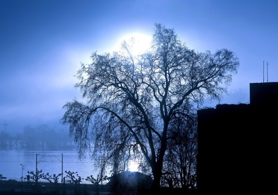 Brömserburg at night | © Marlis Steinmetz