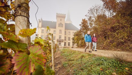 © Marco Rothbrust, Romantischer Rhein Tourismus GmbH