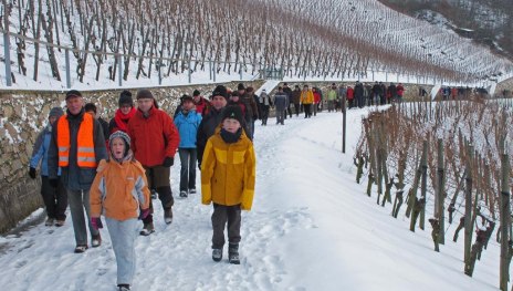 Weinlehrpfad | © Norbert Schmiedel