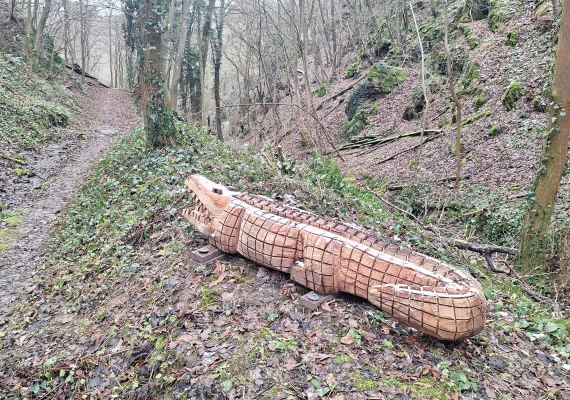 Krokodil im Heimbachtal | © T. Biersch