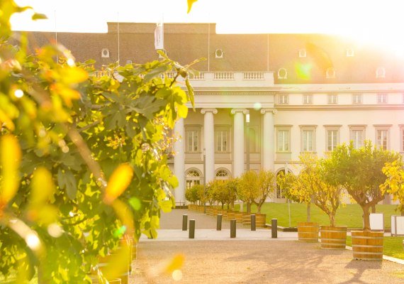 Kurfürstliches Schloss im Sonnenaufgang | © Johannes Bruchhof