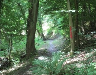 Heimbachtal St. Goar-Fellen | © Sandra Schnober, Stadt St. Goar