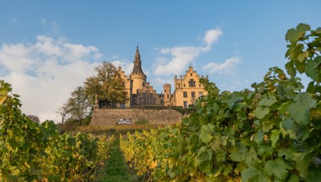 © Andreas Pacek, fototour-deutschland.de, Romantischer Rhein Tourismus GmbH