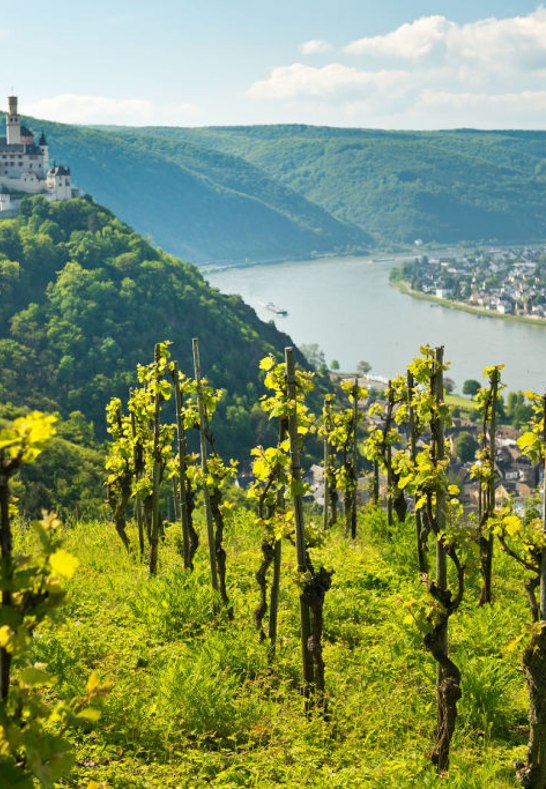 View of Marksburg | © Dominik Ketz / Rheinland-Pfalz Tourismus GmbH