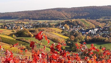 Rhein-Nahe-Schleife | © F. Müller, Community