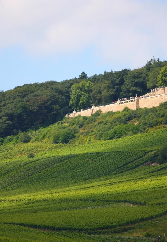 Blick auf die Weinberge | © Hotel Krone Rüdesheim