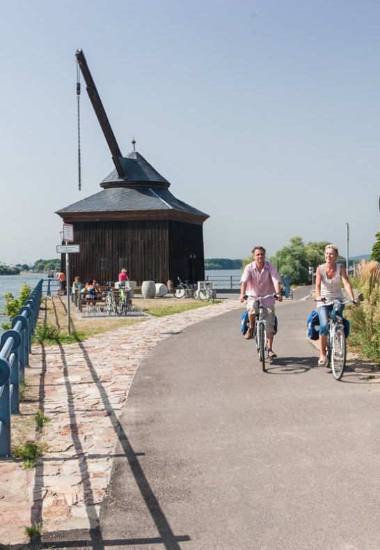 Rheinradweg bei Oestrich-Winkel | © European Cyclists’ Federation, Demarrage LTMA