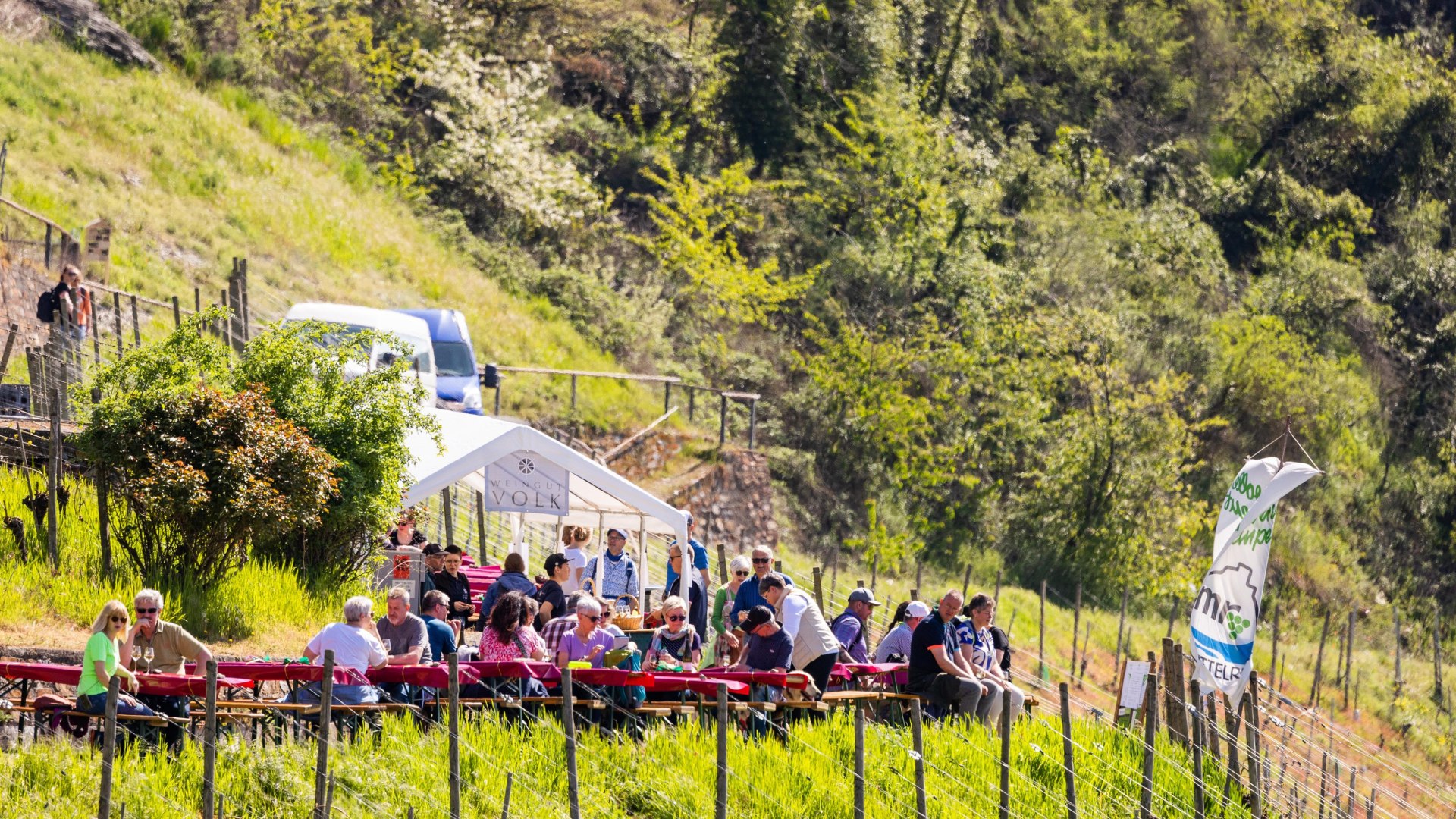 Mittelrheinischer Weinfrühling2 | © Kai Myller