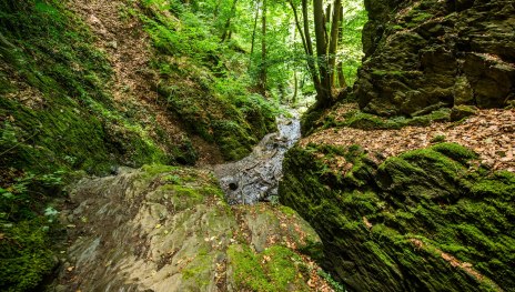 © Henry Tornow, Romantischer Rhein Tourismus GmbH