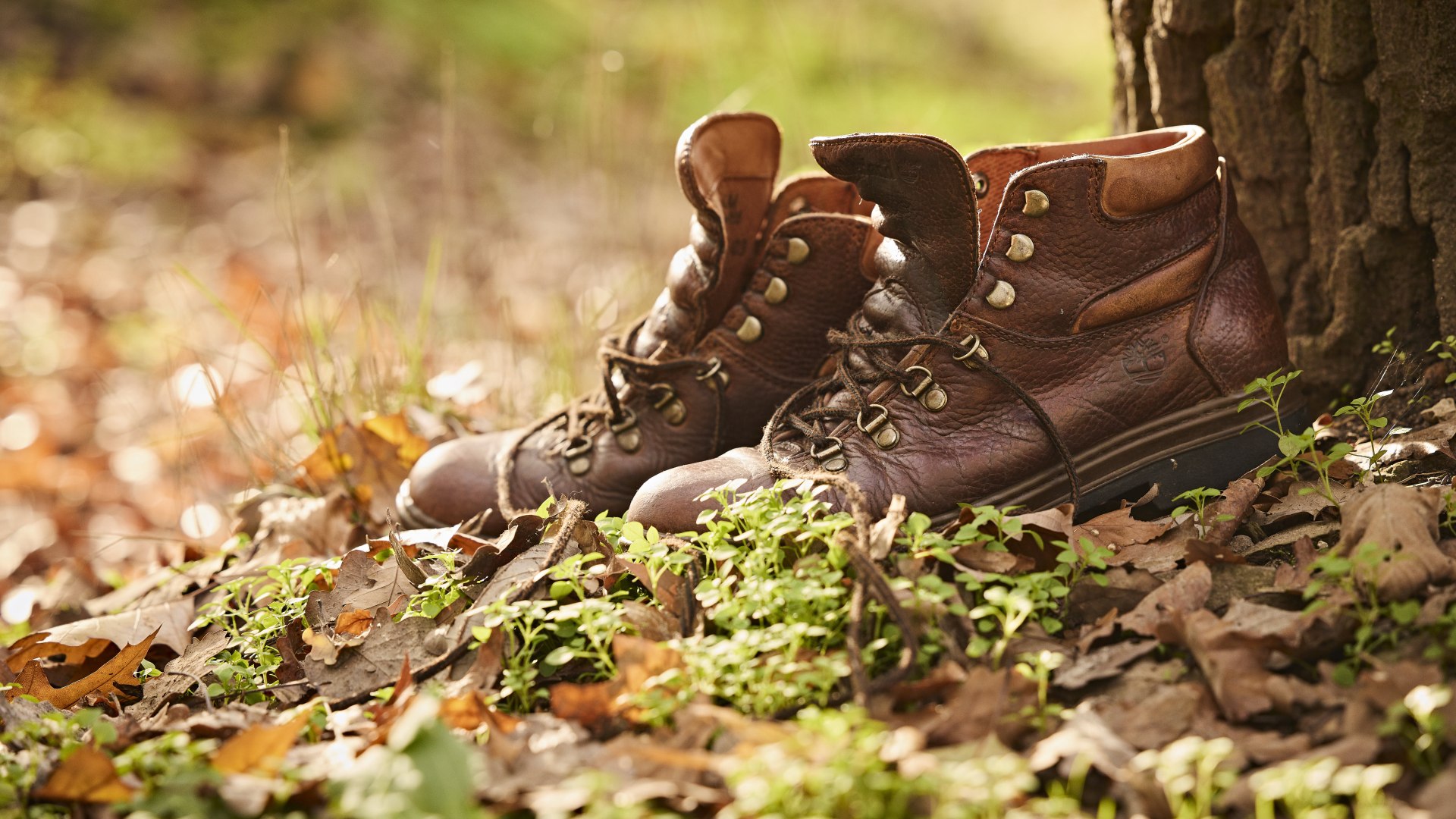 Hiking shoes | © Marco Rothbrust CC BY 4.0