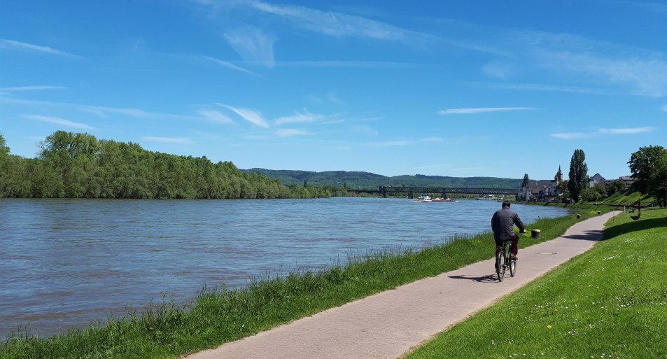 Rheinradweg | © Romantischer Rhein Tourismus GmbH